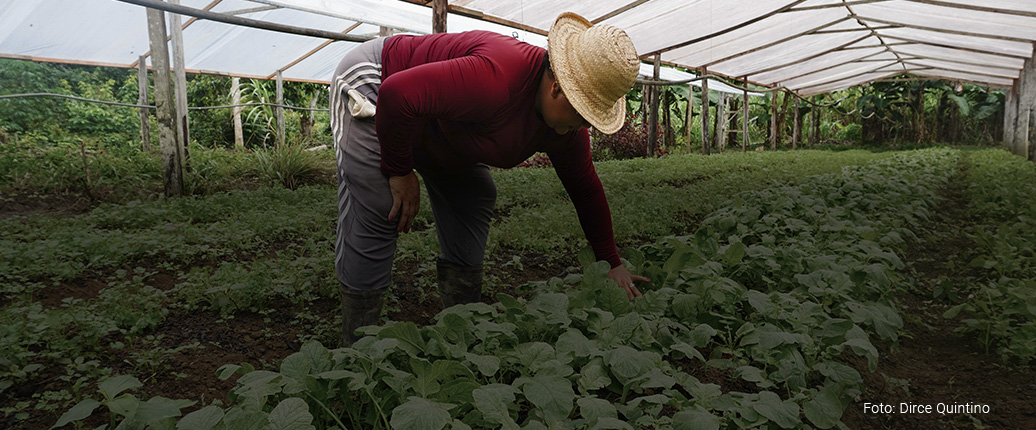 AGROECOLOGIA EM REDE