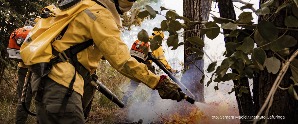 VOLUNTARIADO NO MANEJO INTEGRADO DO FOGO