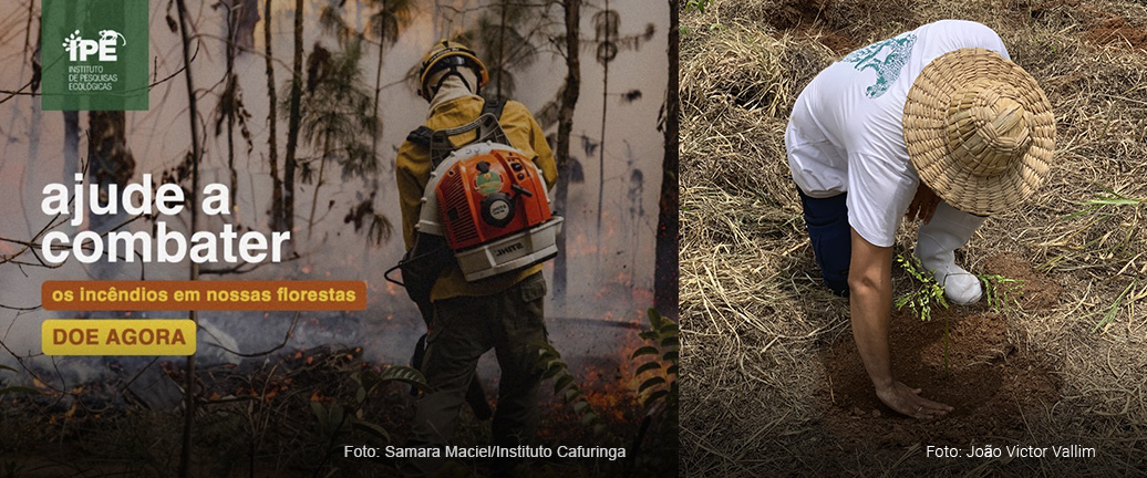 VOLUNTARIADO PARA CONSERVAÇÃO DA BIODIVERSIDADE