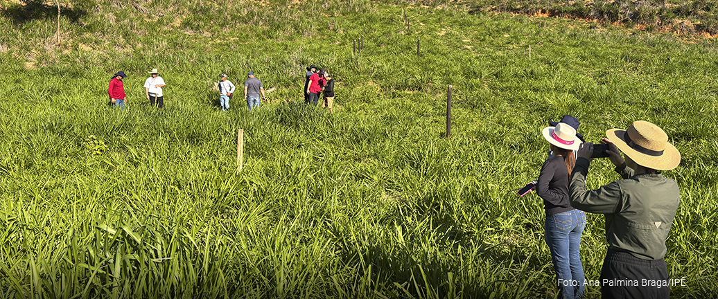 PAISAGENS CLIMÁTICAS