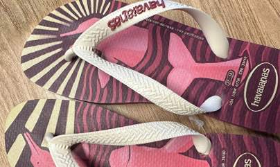 20 anos de coleções Havaianas-IPÊ