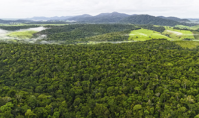 Financiamento da Fundação Sol de Janeiro